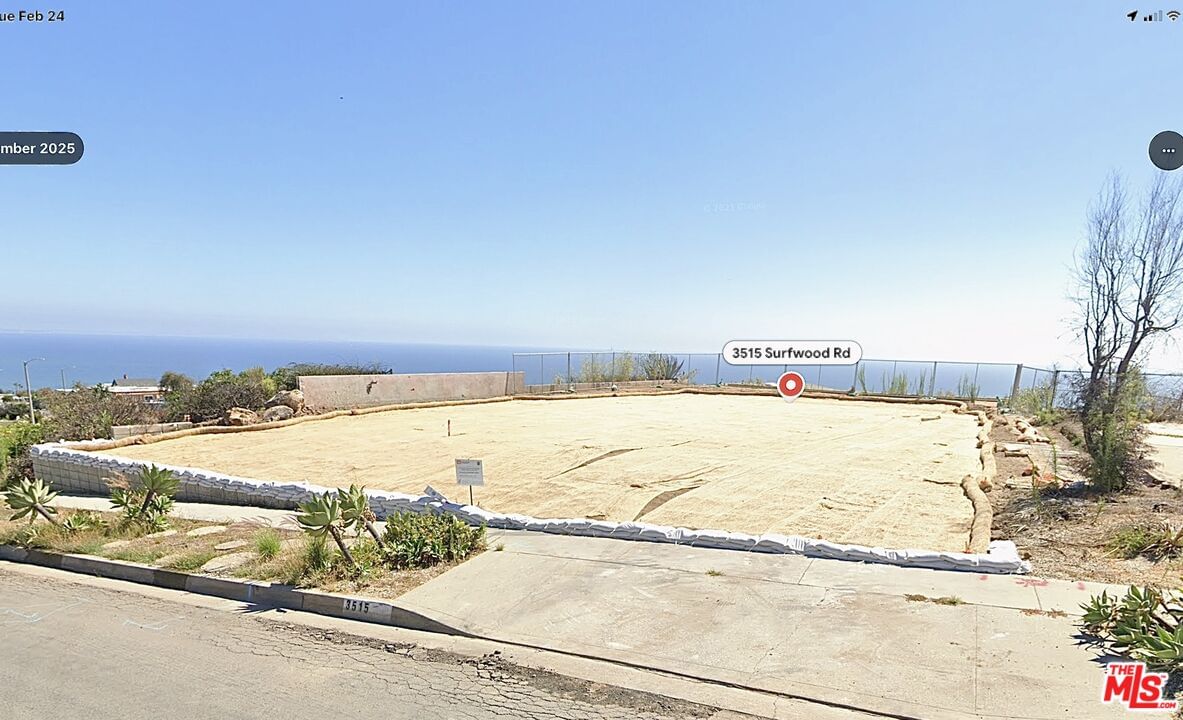 Surfwood photo 3