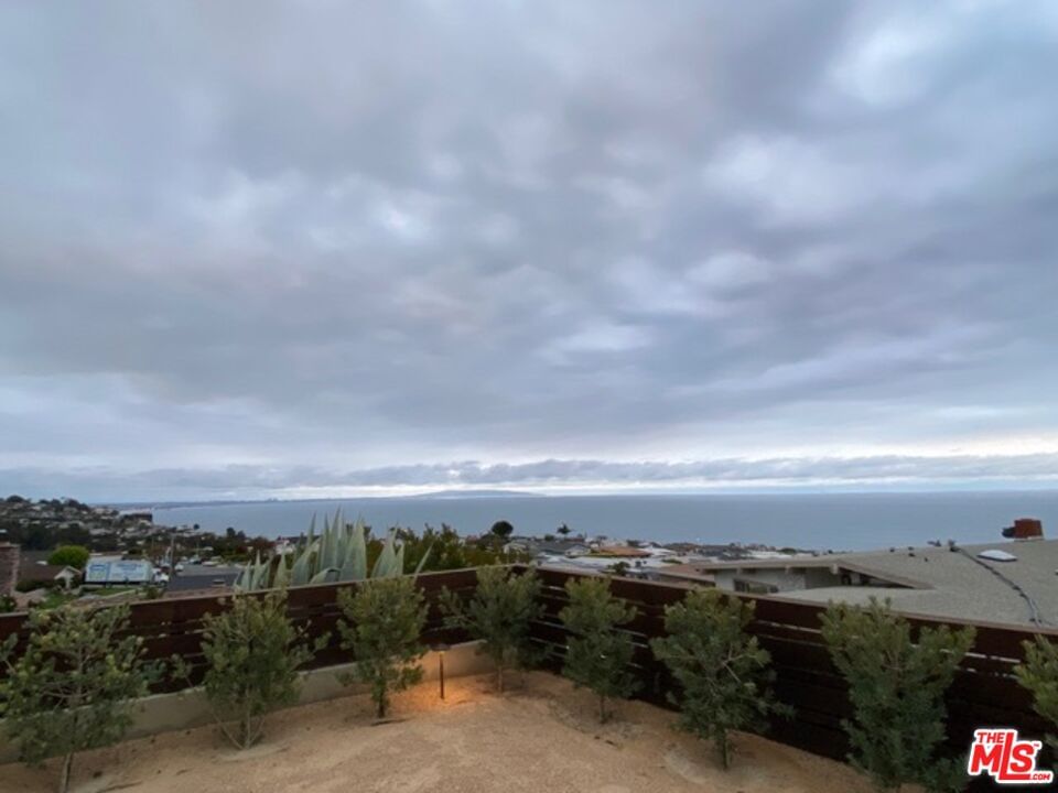 Surfwood photo 4
