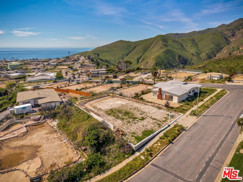 Surfwood photo 6