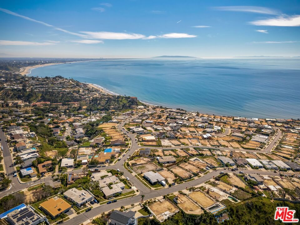 Surfwood photo 8