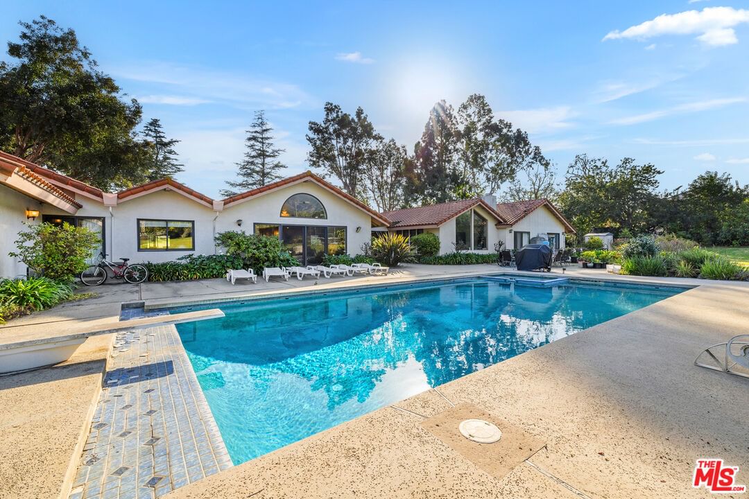 Deodar photo 35