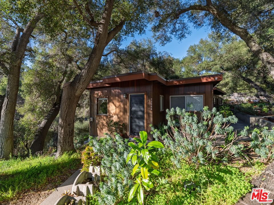Topanga Canyon photo 24