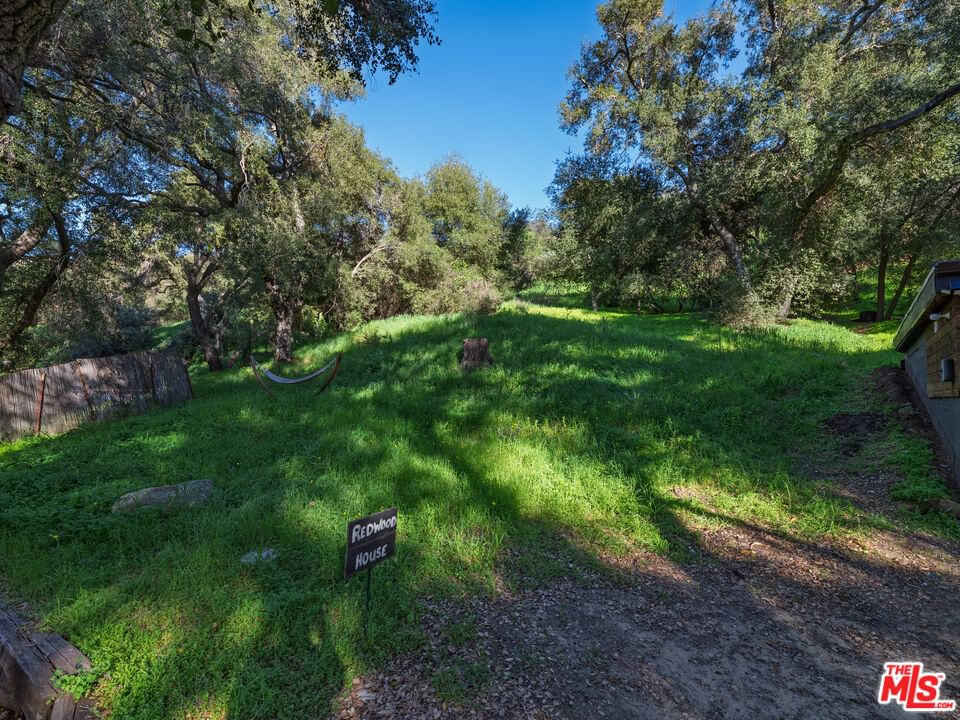 Topanga Canyon photo 38