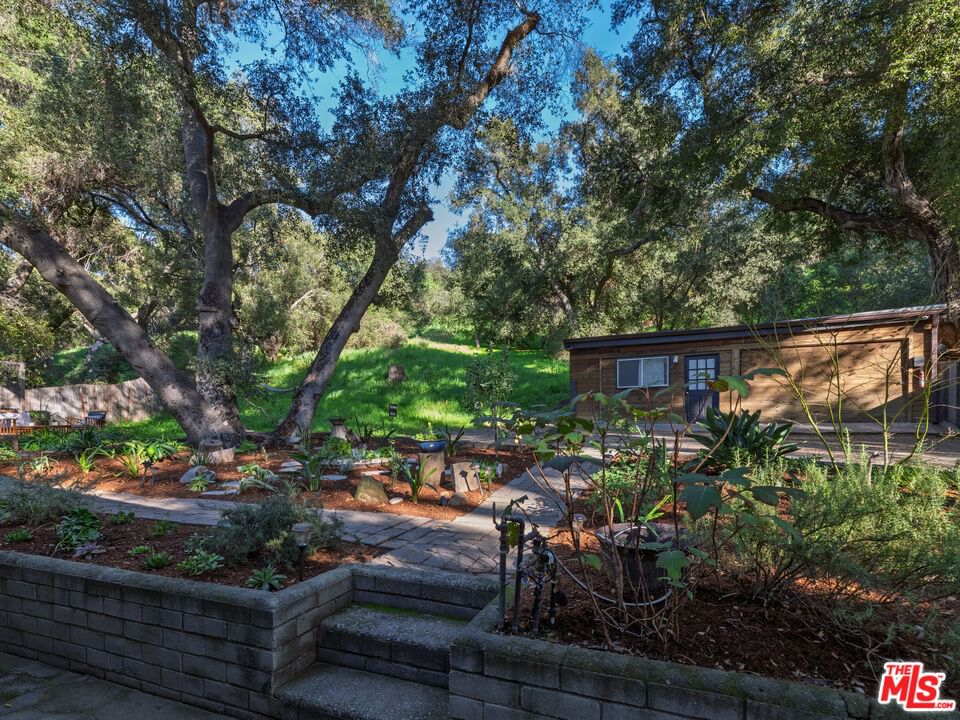 Topanga Canyon photo 40