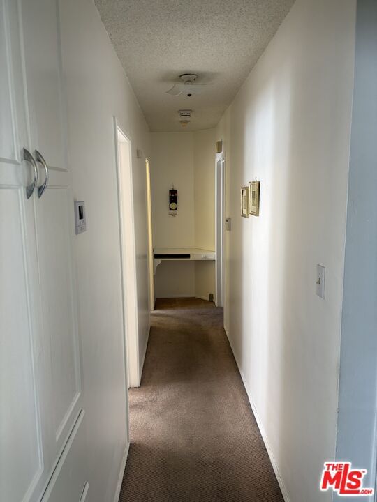 Manhattan photo 32