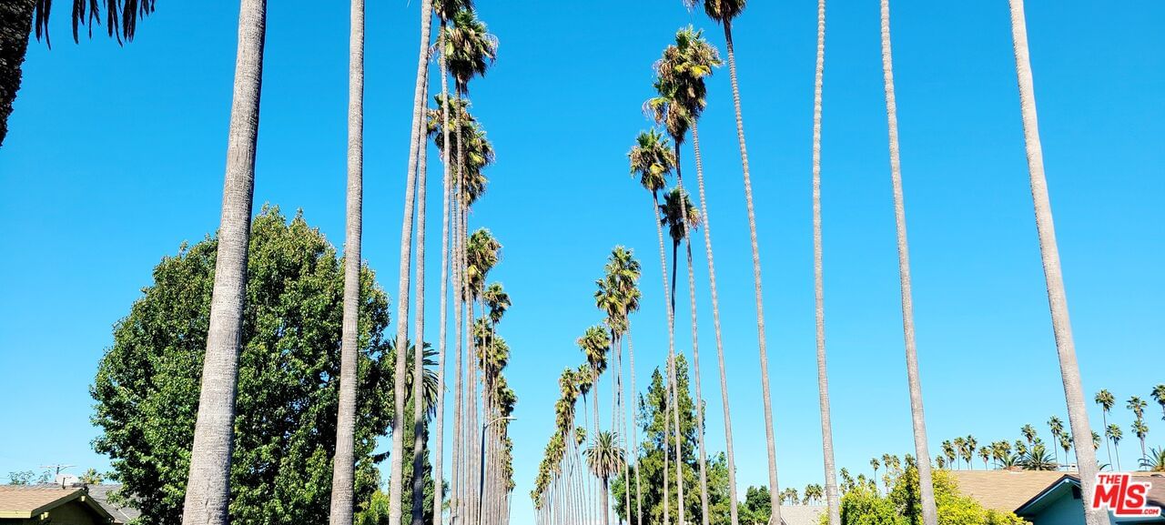 Van Ness photo 50