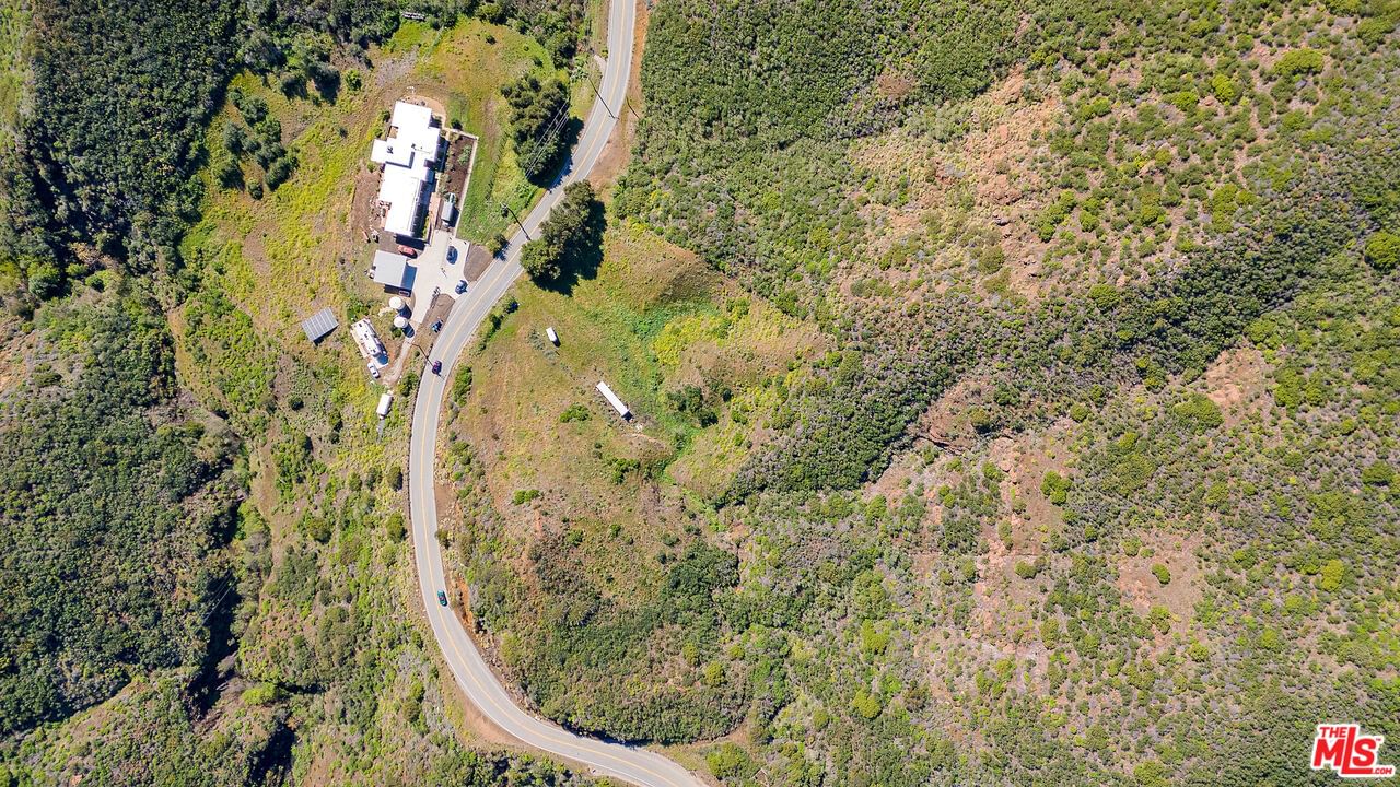 Mulholland photo 11