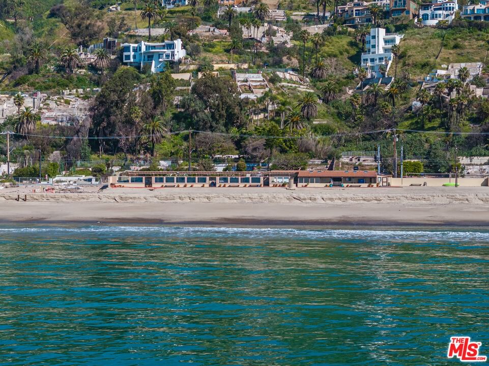 Pacific Coast photo 6
