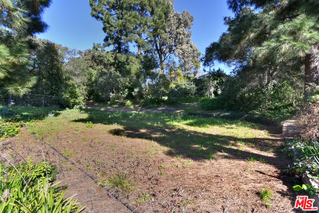 Fryman photo 41