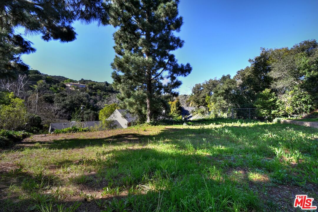 Fryman photo 42