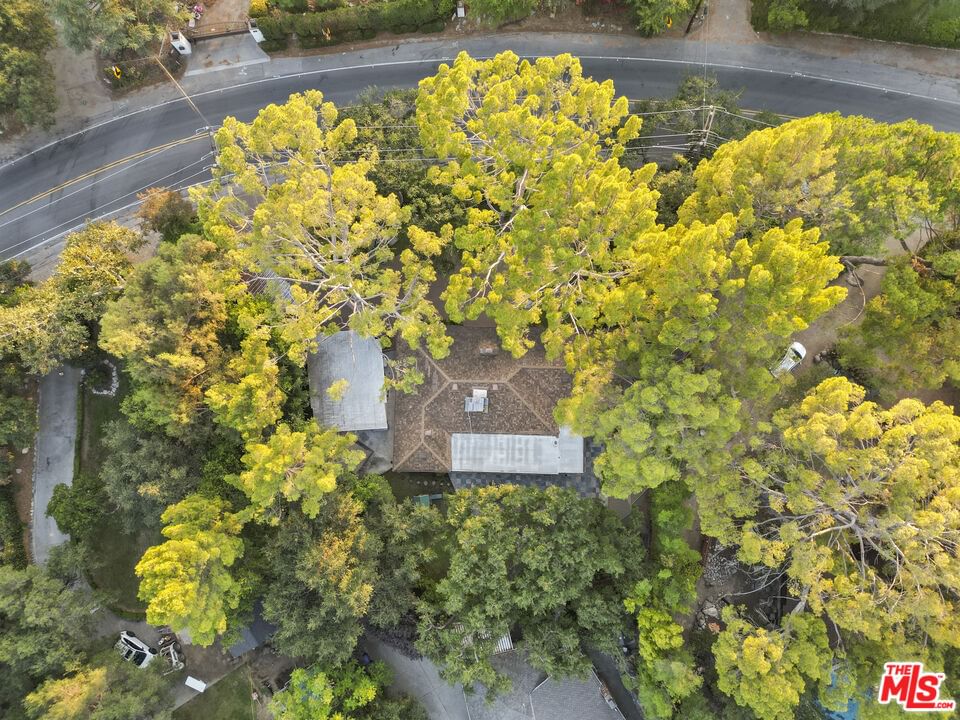 Altadena photo 2