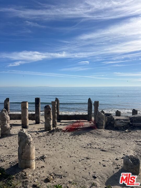 Pacific Coast photo 1