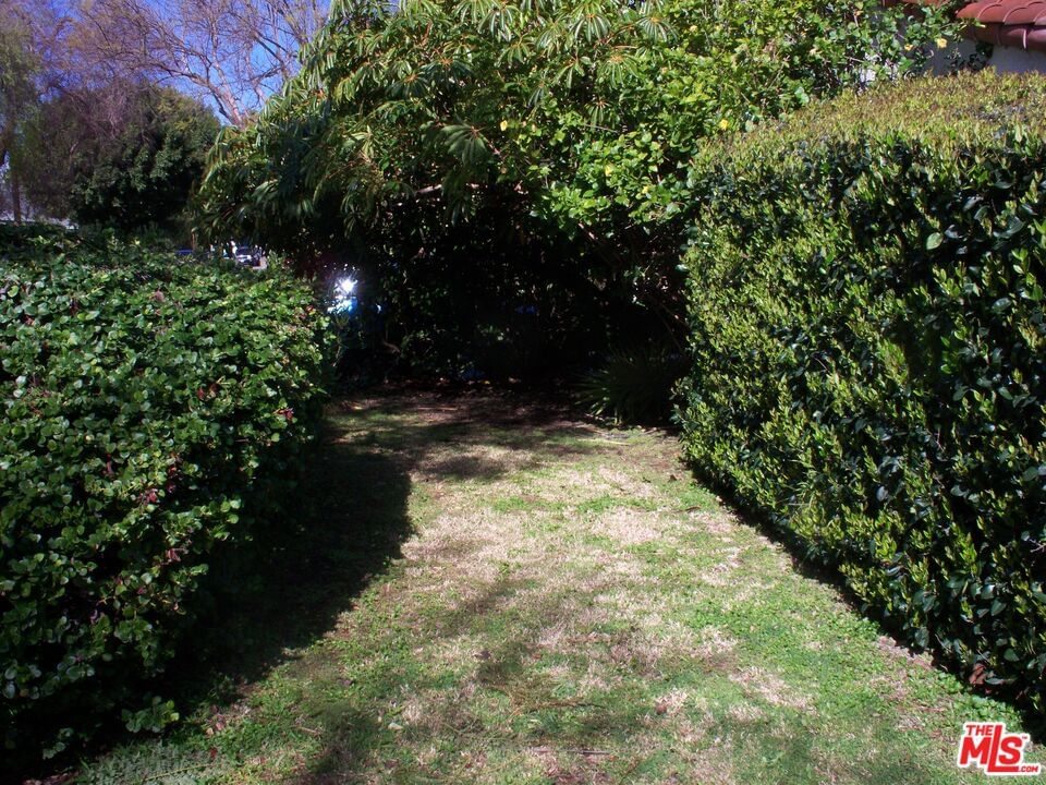 Coolidge photo 31