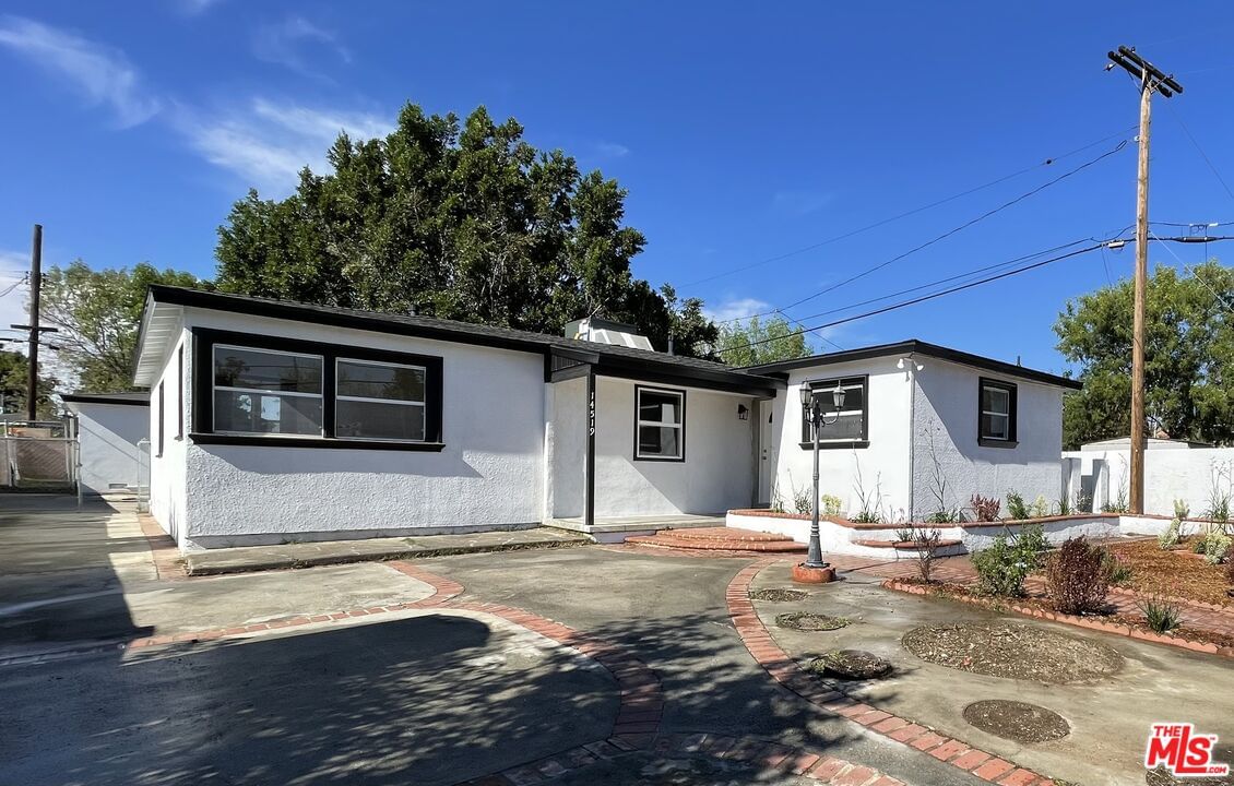 Fox photo 1
