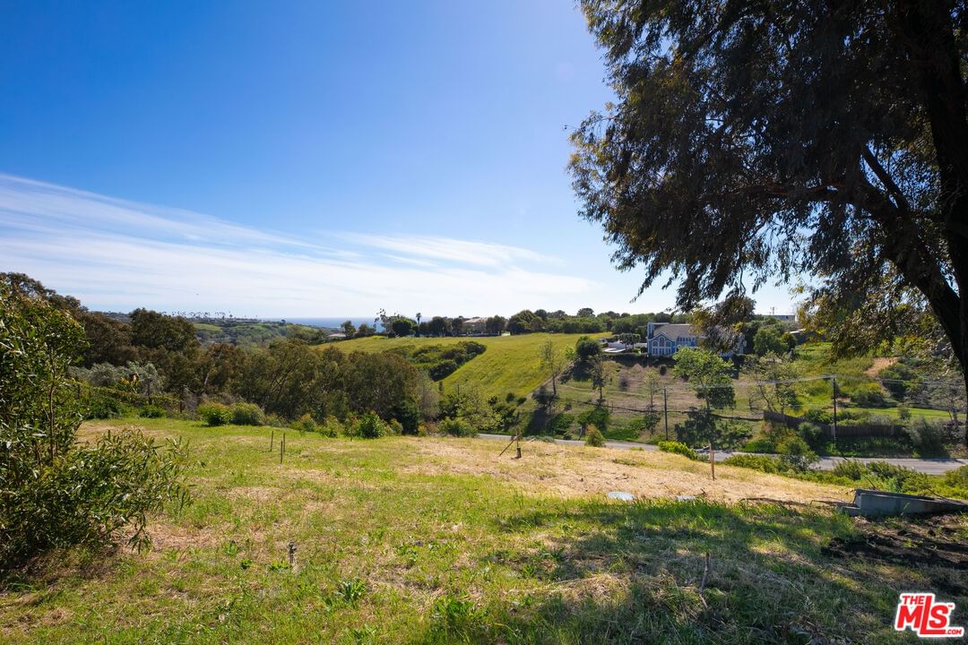 Busch photo 13