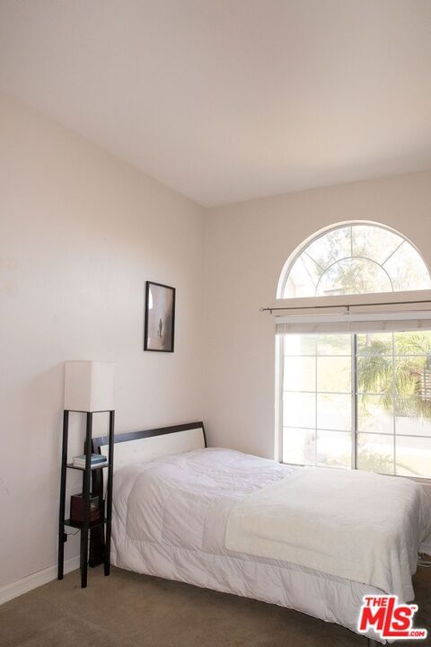 Dove Tree photo 25