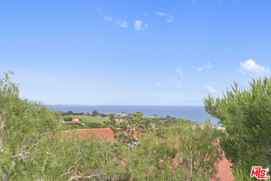 Vantage Point photo 27
