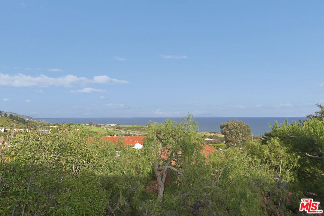 Vantage Point photo 29