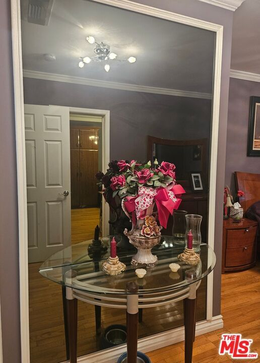 Poinsettia photo 19