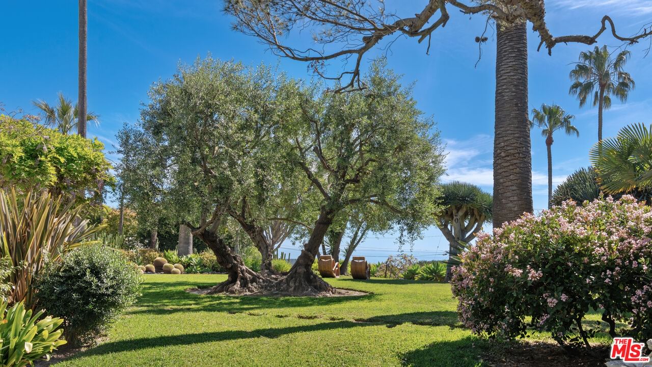 Baden photo 25