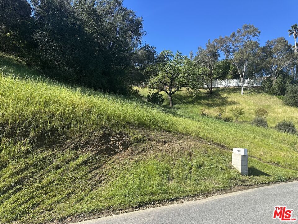 Foothill photo 1