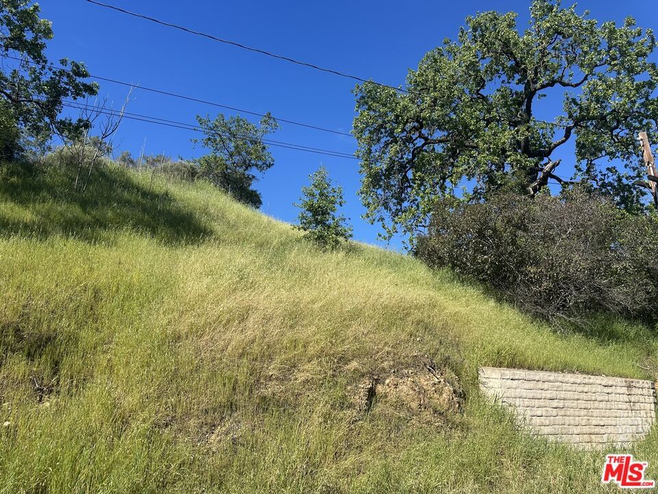 Foothill photo 3