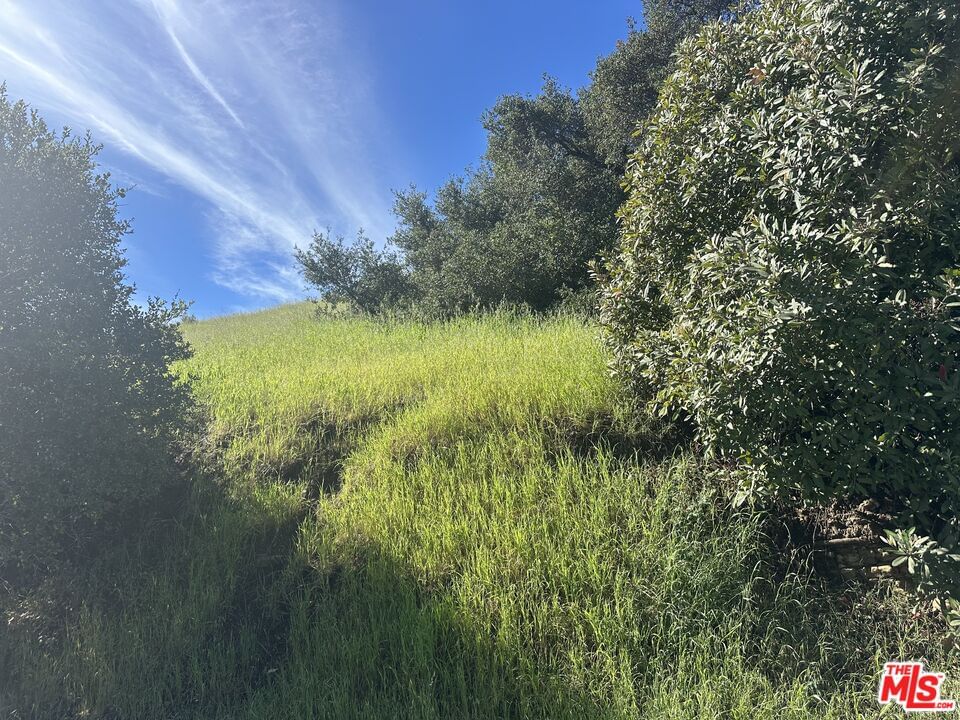 Foothill photo 4