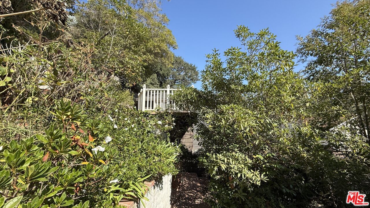 Hillside photo 4