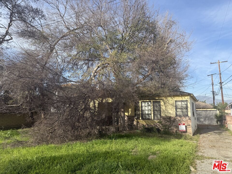 Marsen photo 6