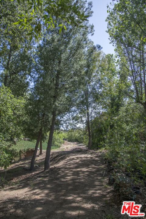Mulholland photo 48