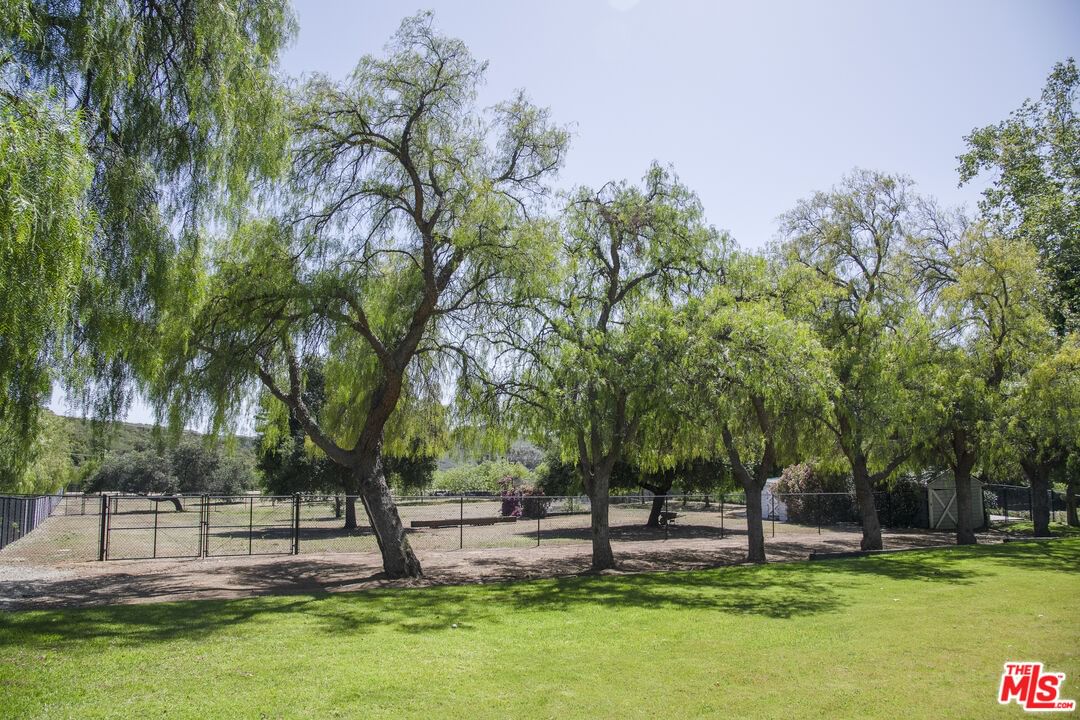 Mulholland photo 51