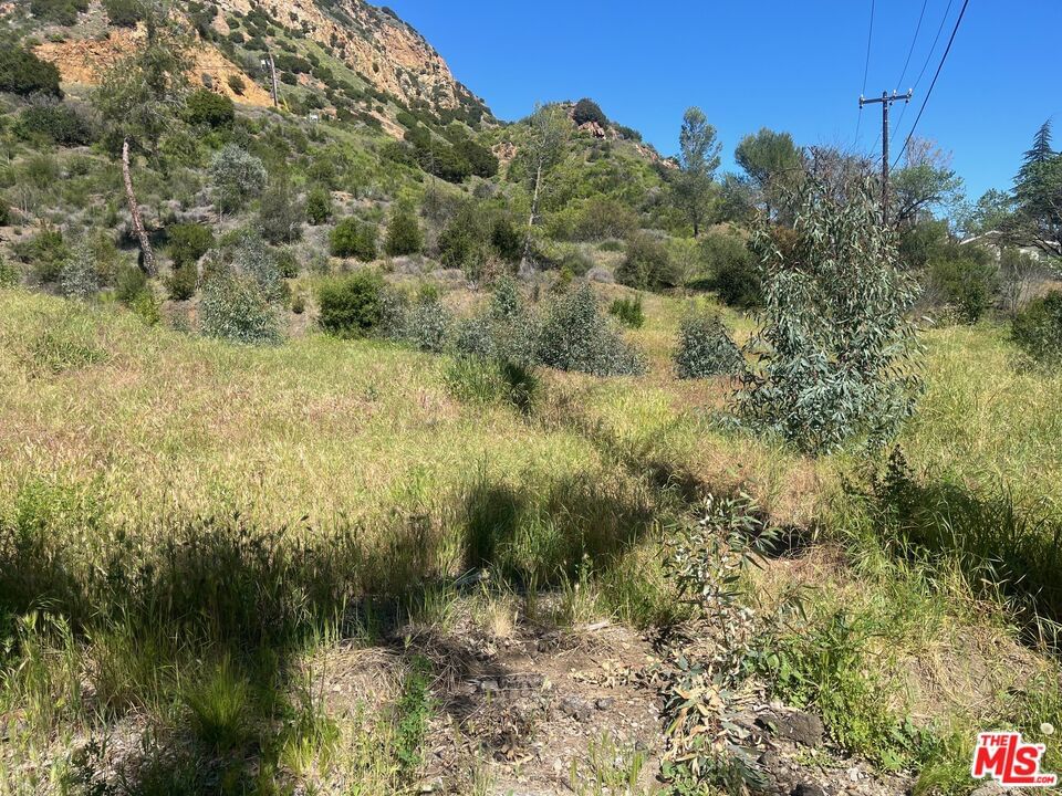Lake Vista photo 12