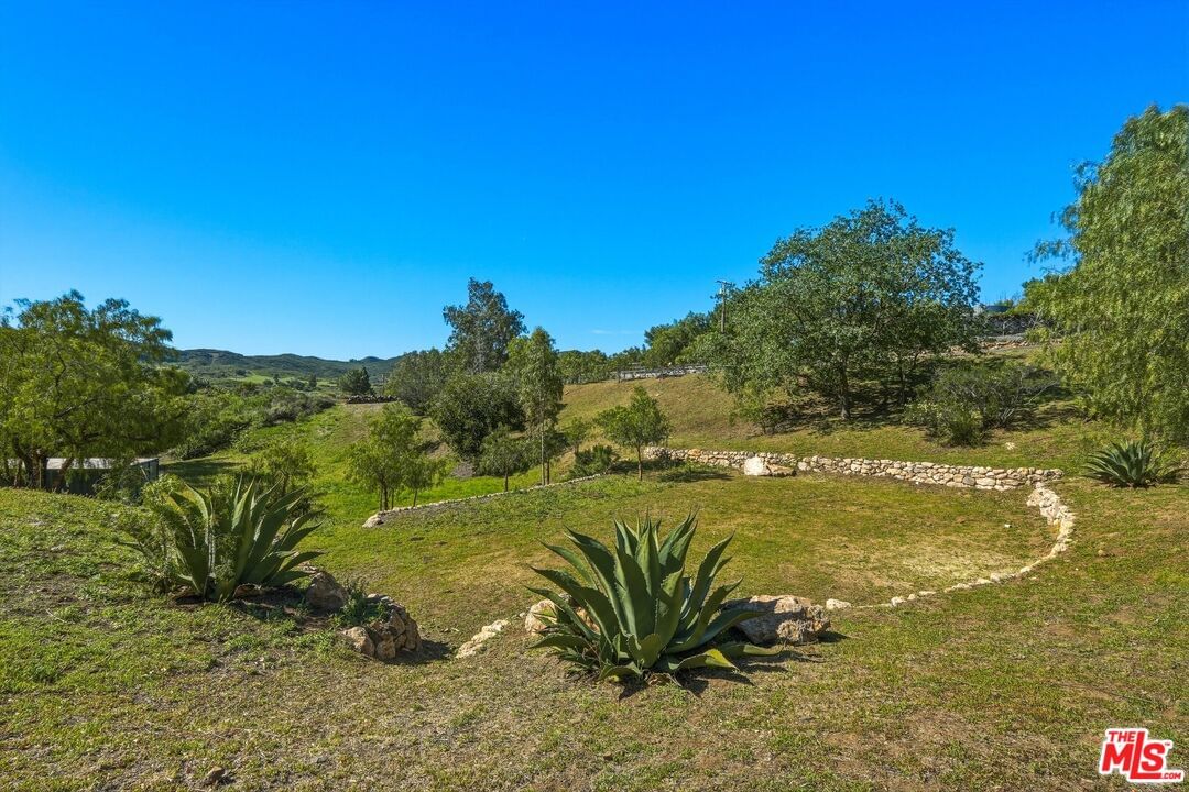Mulholland photo 52