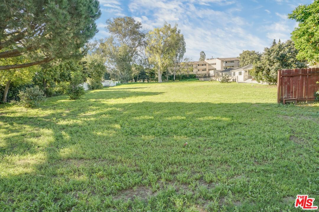 Live Oak photo 29