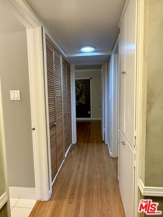 Delano photo 17