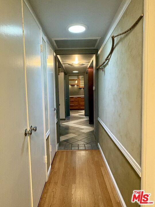 Delano photo 25