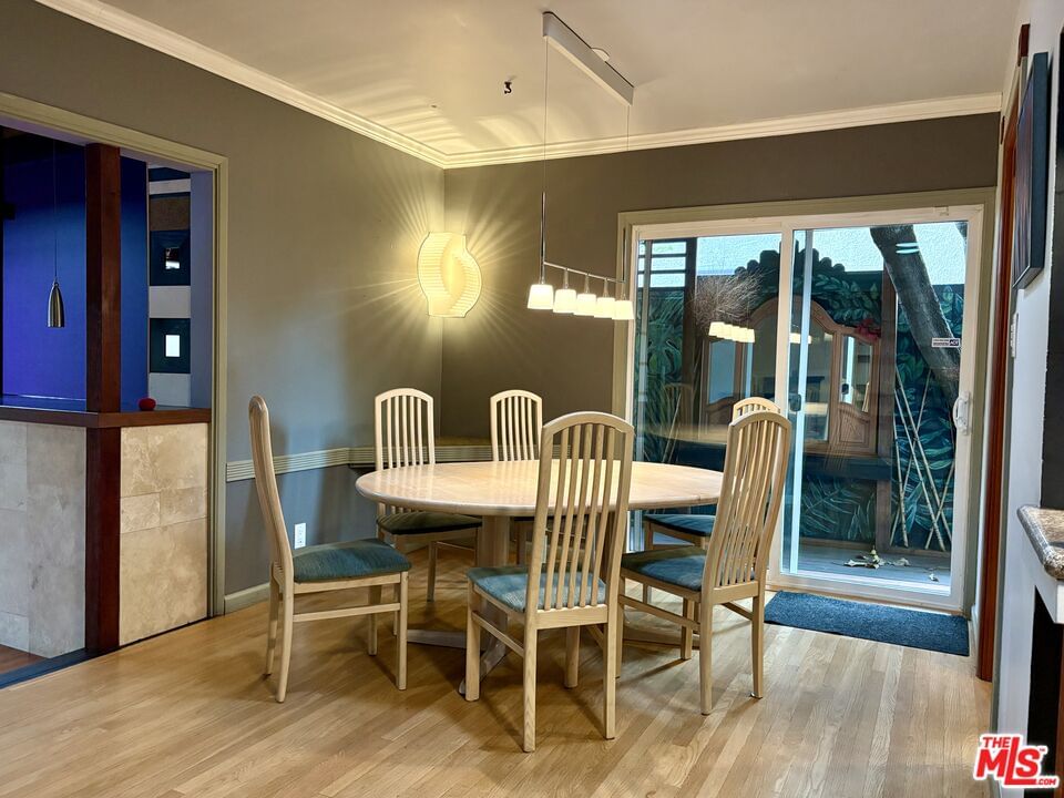 Delano photo 31