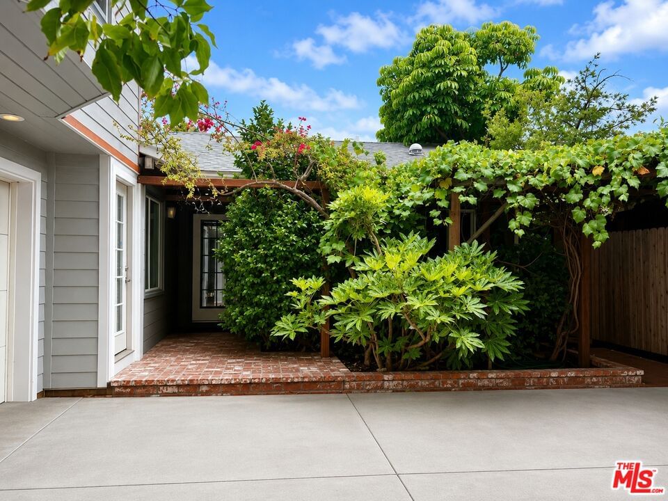 Delano photo 47