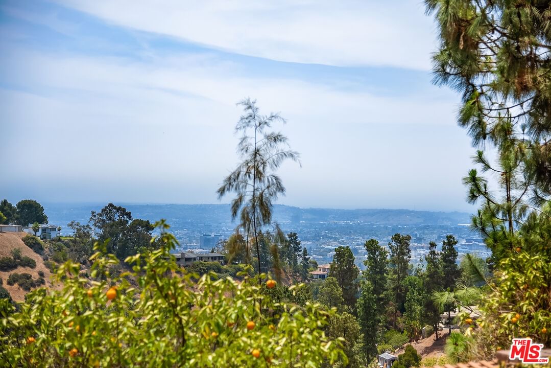 Monte Cielo photo 4