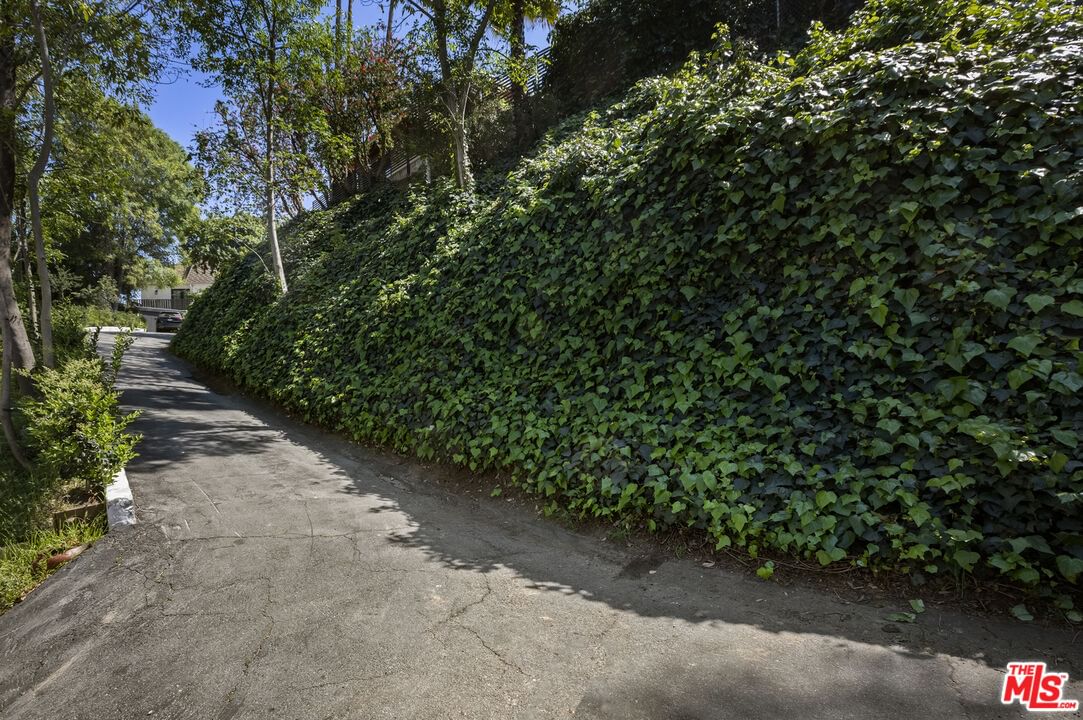 Nichols Canyon photo 27