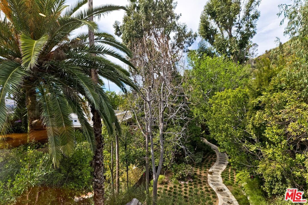 Vista photo 26