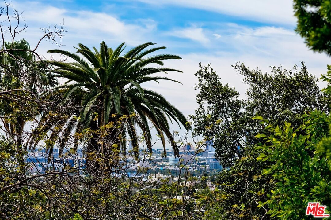Vista photo 27