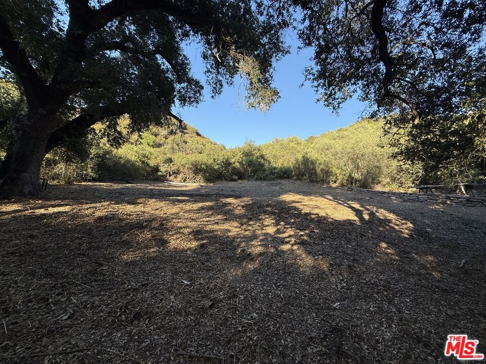 Red Rock photo 18