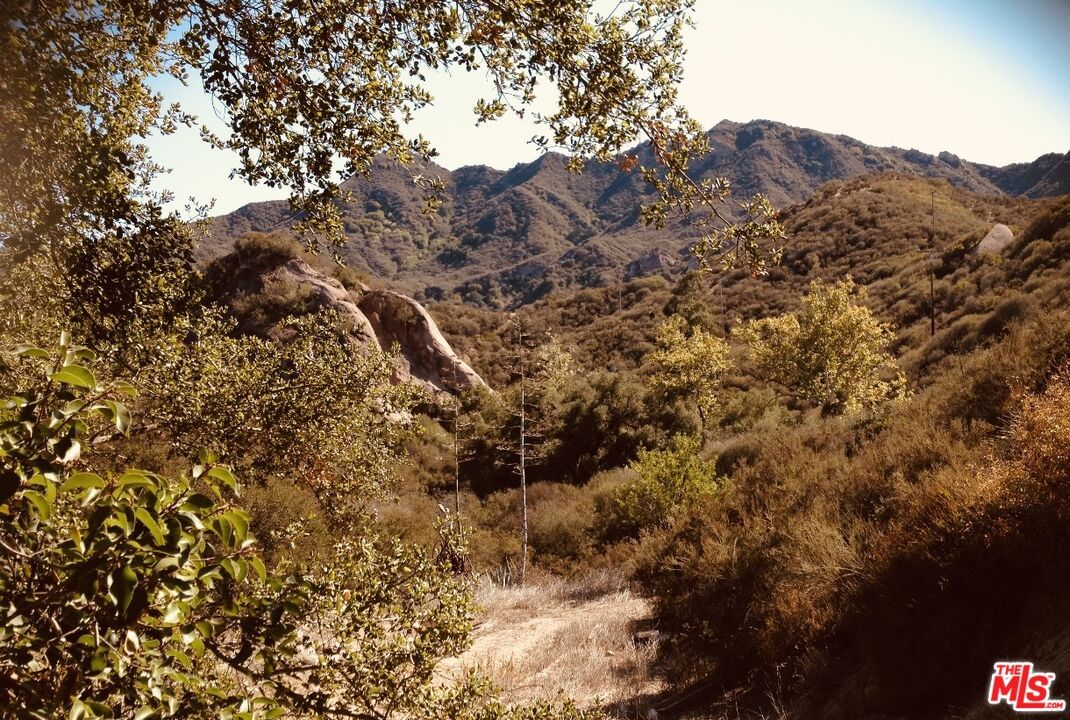 Red Rock photo 20