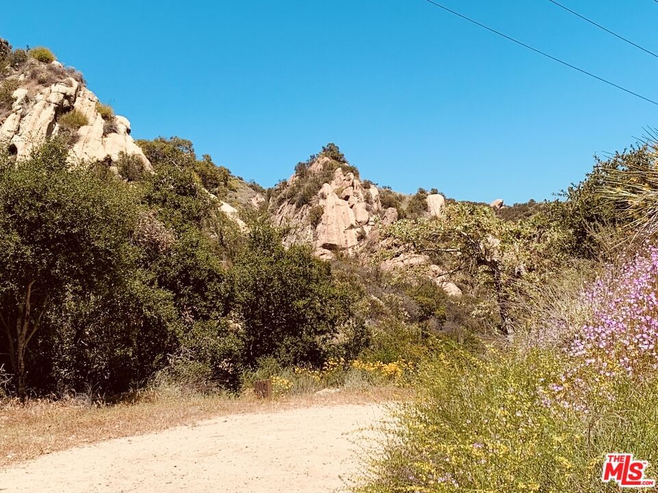 Red Rock photo 32