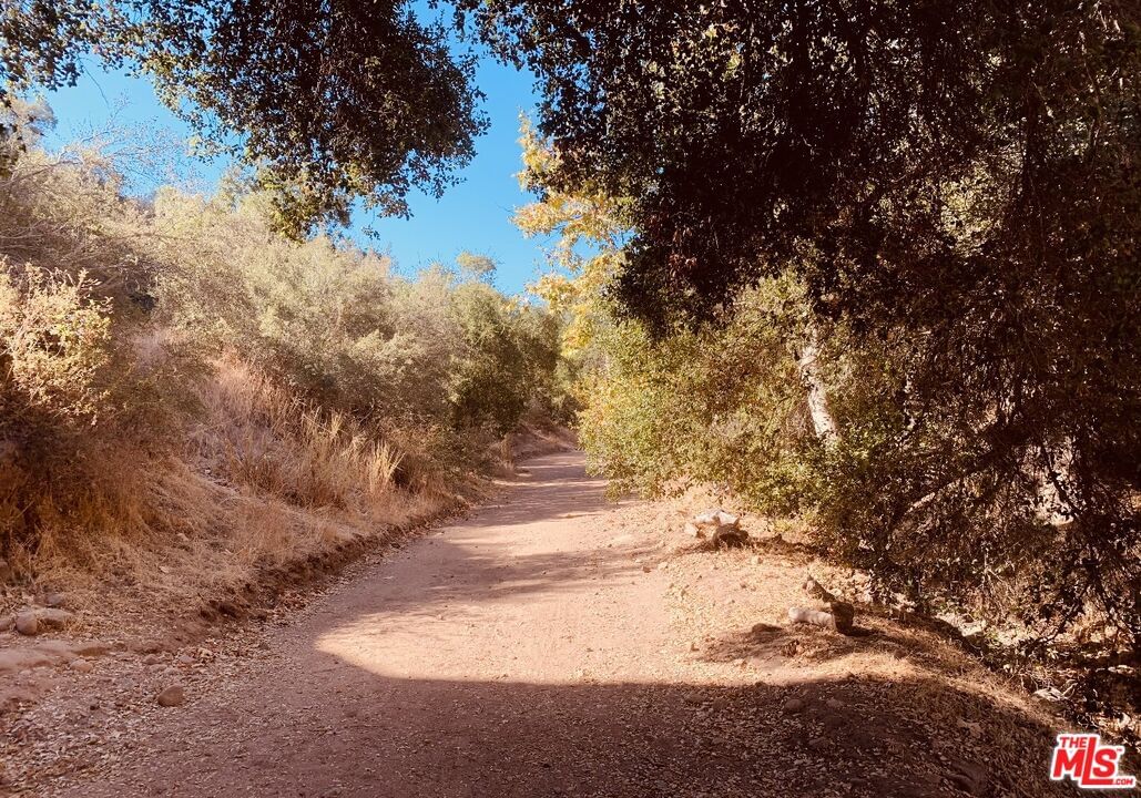 Red Rock photo 34
