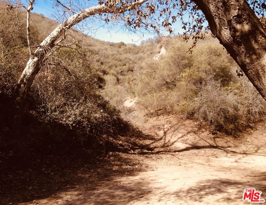 Red Rock photo 35