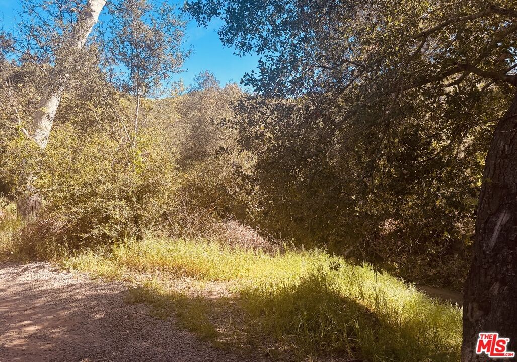 Red Rock photo 38