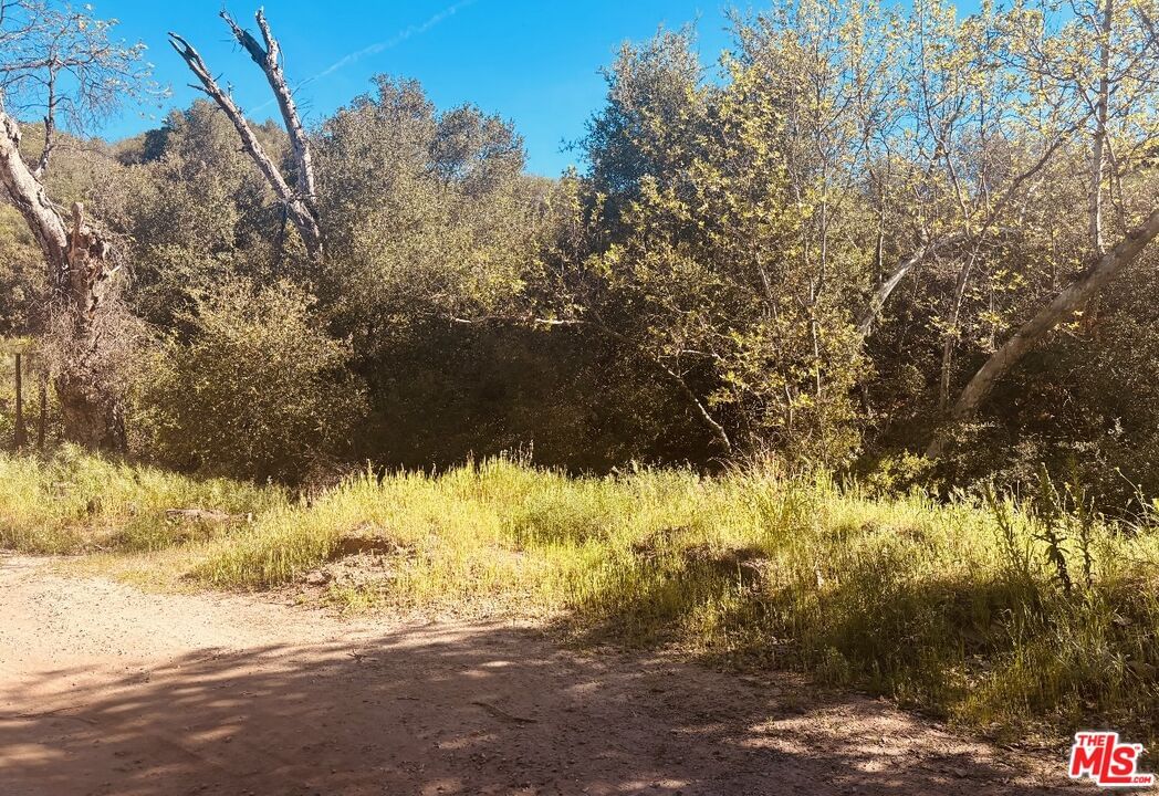 Red Rock photo 41