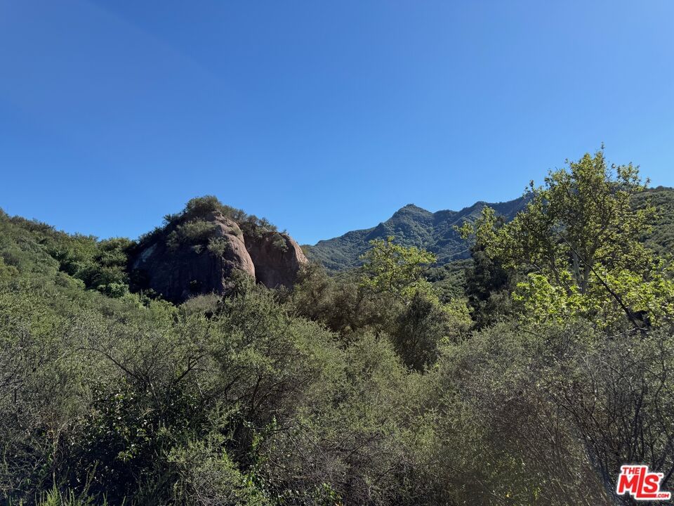 Red Rock photo 42